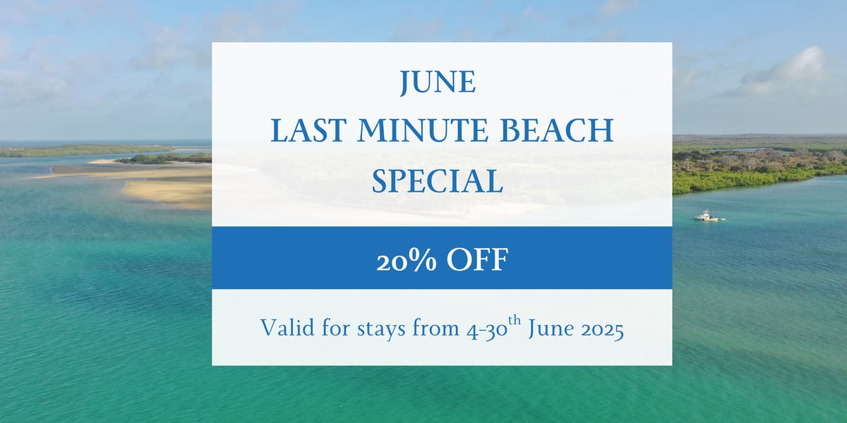 Copy of Copy of Copy of Copy of IKUKA SAFARI CAMP 2025-2026 SPECIAL OFFERS (4)