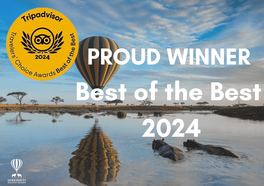 Tripadvisor Traveller’s Choice Awards Best of the Best 2024